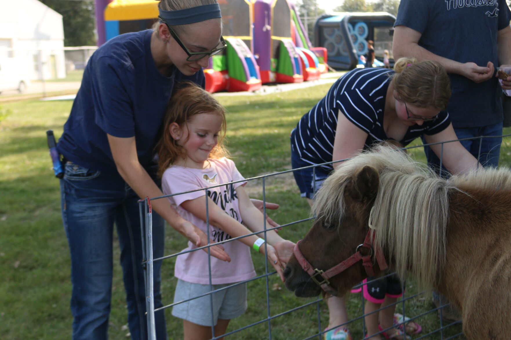 Poppy's Barnyard mini horse